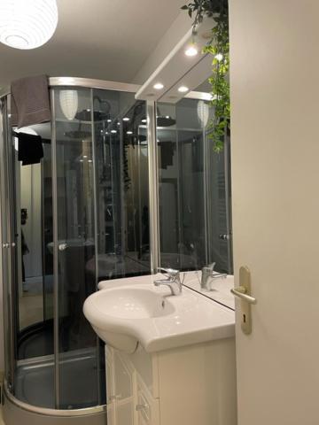Appartement Cosy Hyper Centre Шатору Экстерьер фото