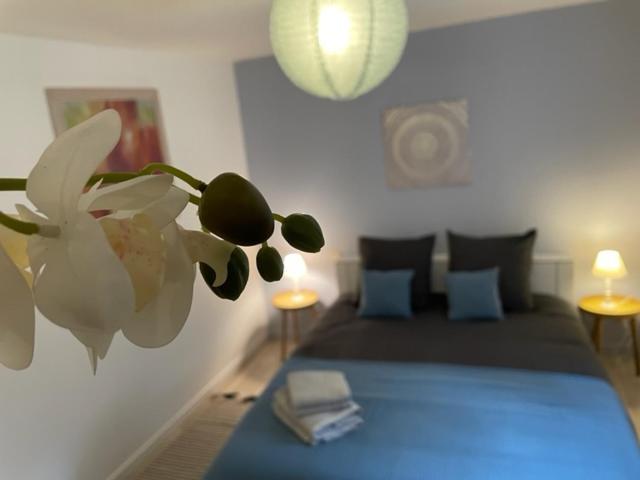 Appartement Cosy Hyper Centre Шатору Экстерьер фото